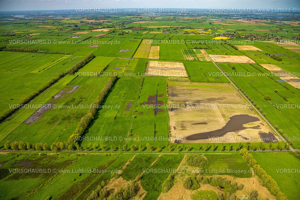 Kranenburg240402571Naturschutzgebiet-Dueffel | Luftbild, NSG Naturschutzgebiet Düffel, Kranenburger Bruch, Wiesen und Felder Feuchtgebiet und Baumallee, Fernsicht, Kranenburg, Niederrhein, Nordrhein-Westfalen, Deutschland