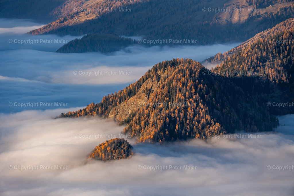 Matererle_Laienkopf_Herbst_25-110 | piet_flosse