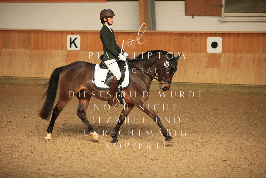 IMGT5007 | pl-fotografie