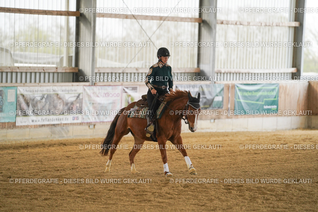 DSC08143 | Pferdegrafie