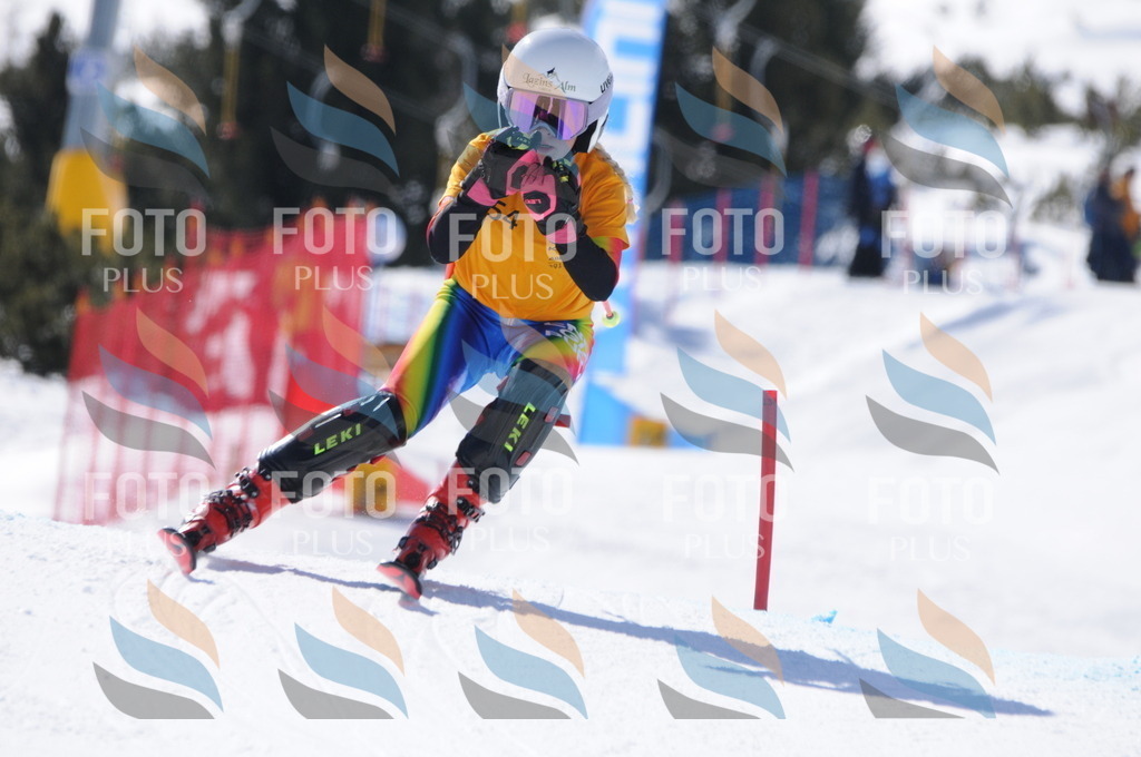 C8869 | holidayphoto