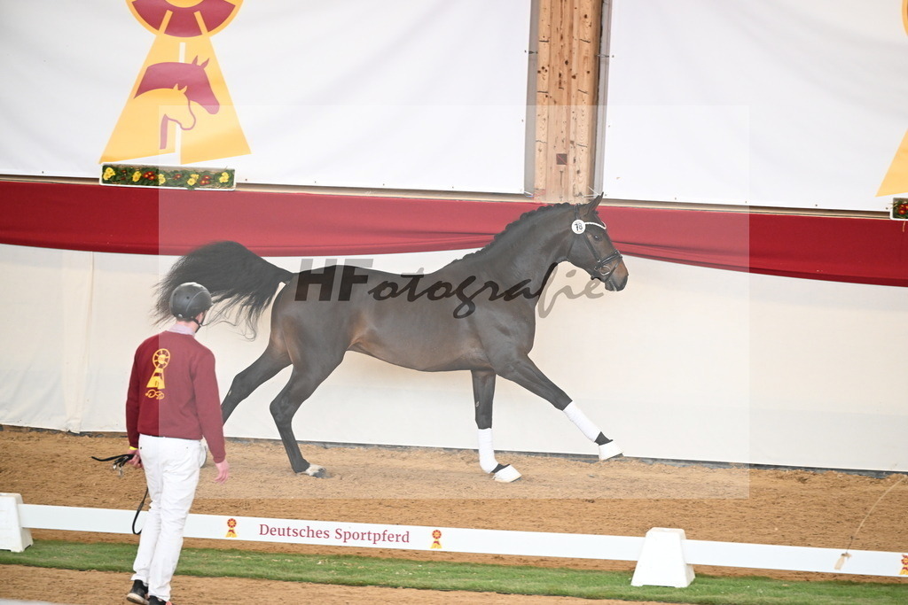 Kat.-Nr. 78 v. Springbank II VH_Reichert_2250755 | hf-fotografie - Realisiert mit Pictrs.com