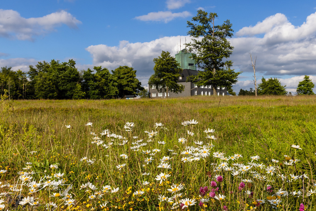 Kahler Asten im Sommer | Kahler Asten im Sommer - Realisiert mit Pictrs.com
