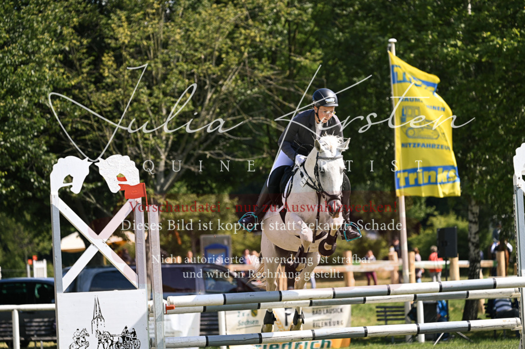 DSC_8891 | Pferde- und Turnierfotografie in Westsachsen. Pferdeportraits, Auftragszeichnungen und intuitive Kunst.