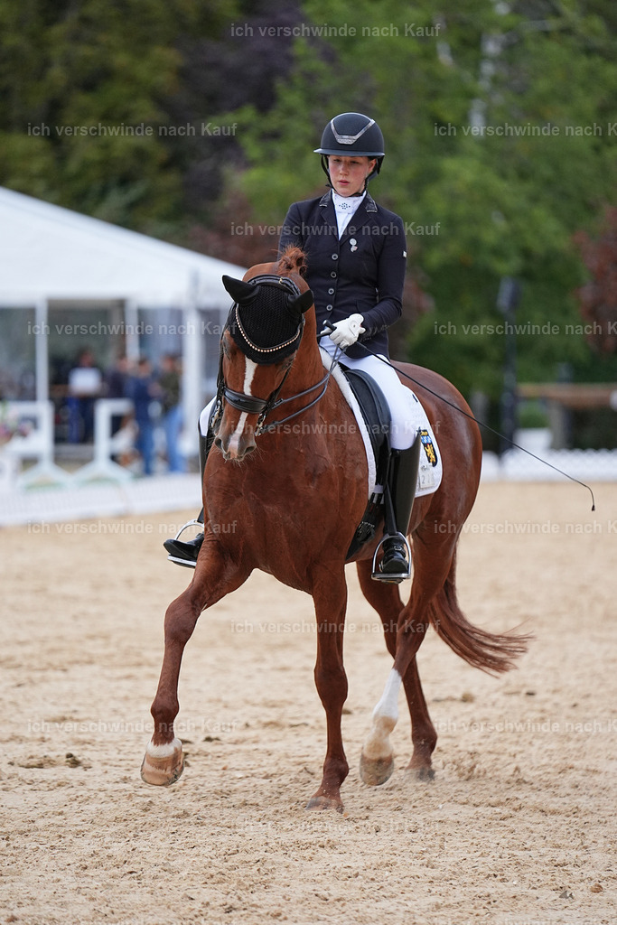 04_2-223-Dressur M__ -Marixx-3073 | working equitationturnier fotograf videograf stoibphotography marixx film working equitation deutschland reitsport turnierfotografie eventfotografie equestrian events