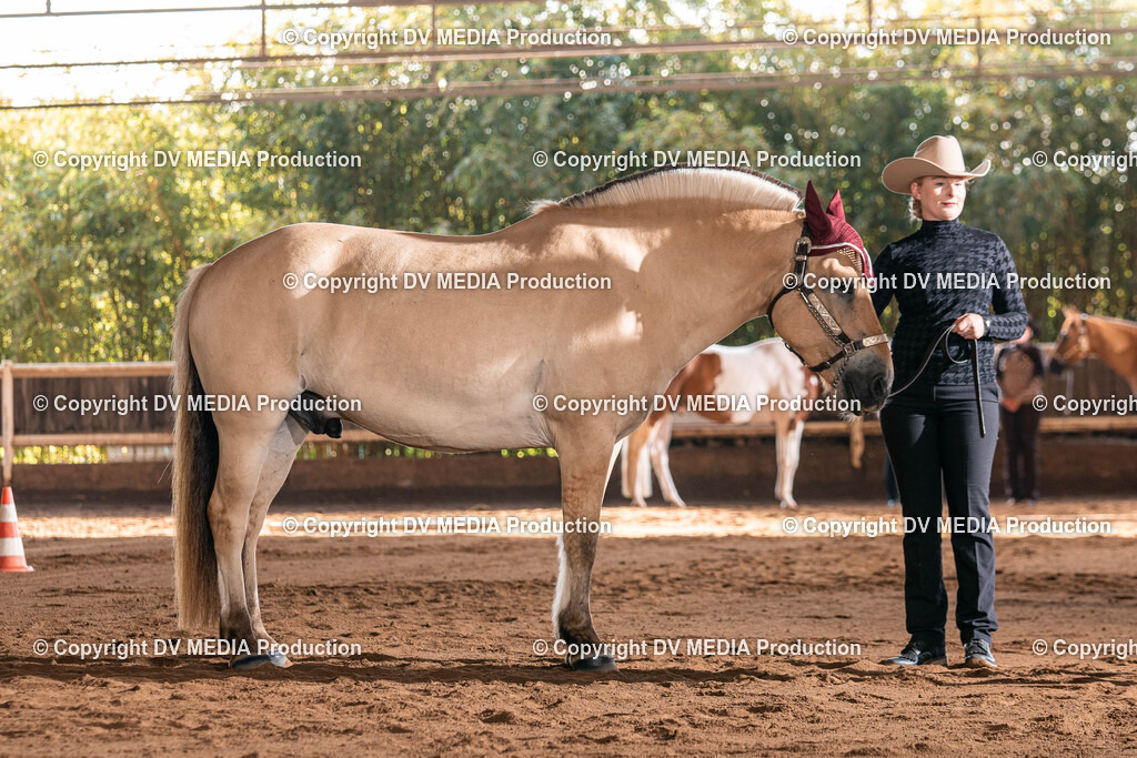 Erbach Tag 3-085 | dv-media-shop - Realisiert mit Pictrs.com