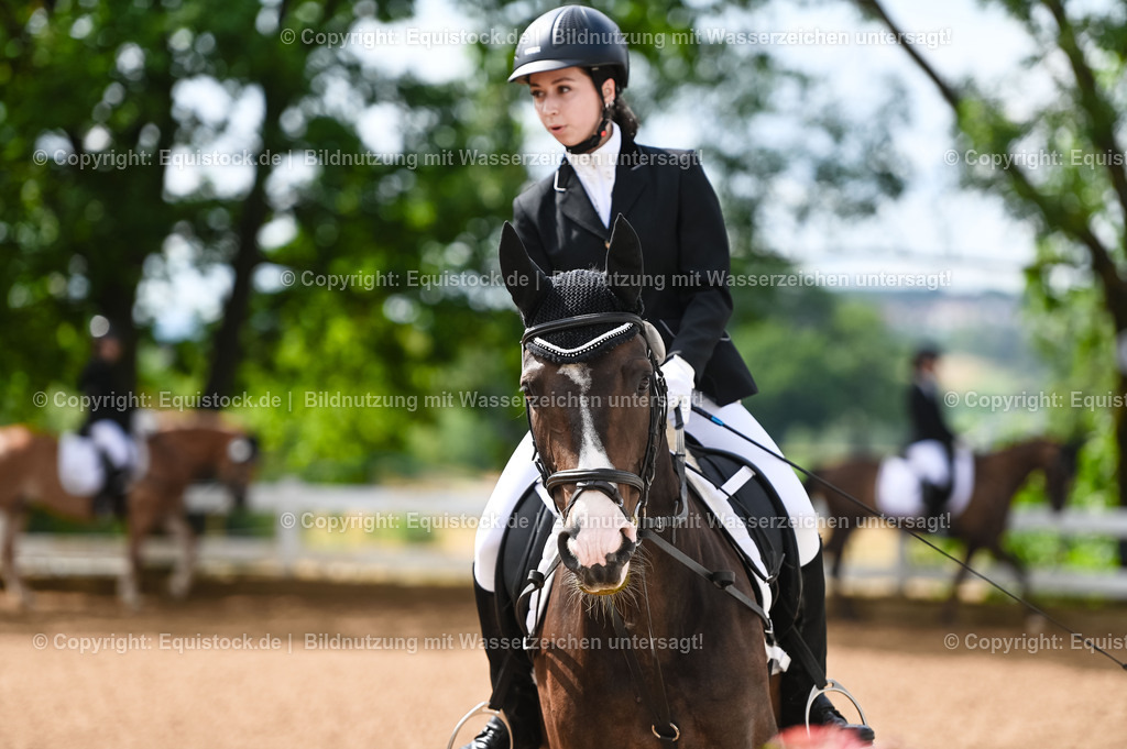 20230716_10-1_Reiter-WB Schritt - Trab - Galopp_0129 | equistock