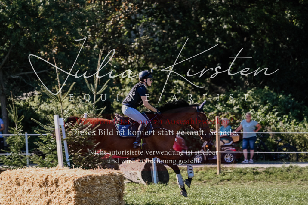 DSC_3367 | Pferde- und Turnierfotografie in Westsachsen. Pferdeportraits, Auftragszeichnungen und intuitive Kunst.