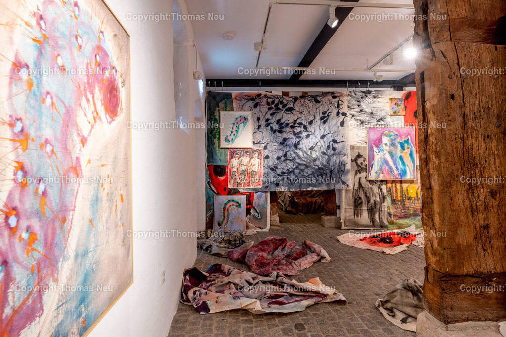 DSC_6131 | Bensheim, Museum der Stadt, Ausstellung „The last Party of Diversity“ im Museum Bensheim zeigt Werke des Künstlers Andrej Dúbravský, Bild: Thomas Neu