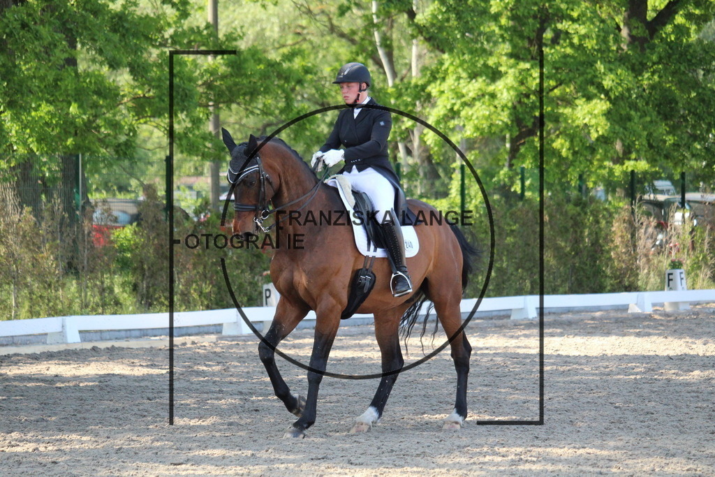 IMG_5640 | franziskalange - Realisiert mit Pictrs.com