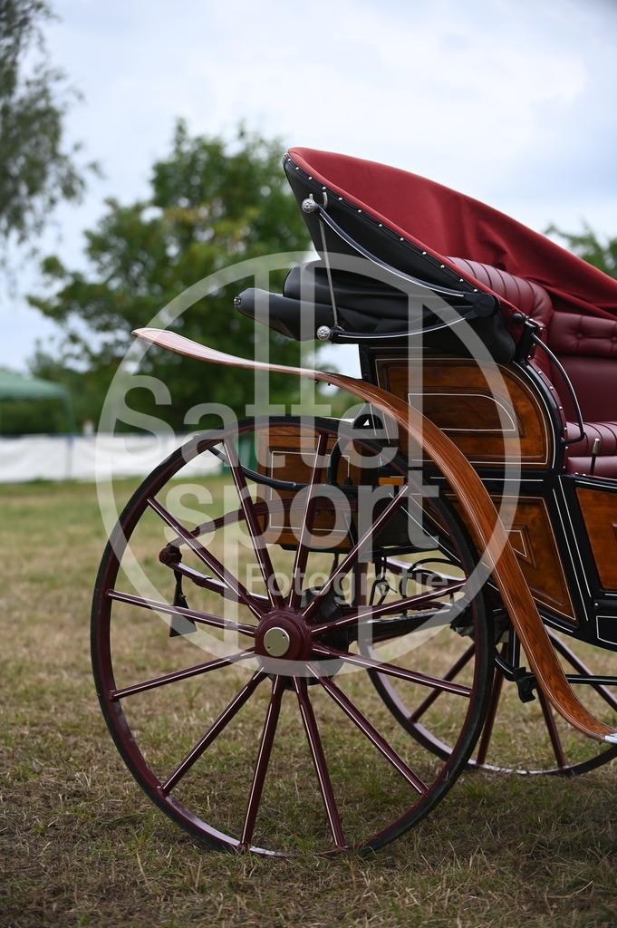 DSC_2796 | sattelsport - Realisiert mit Pictrs.com