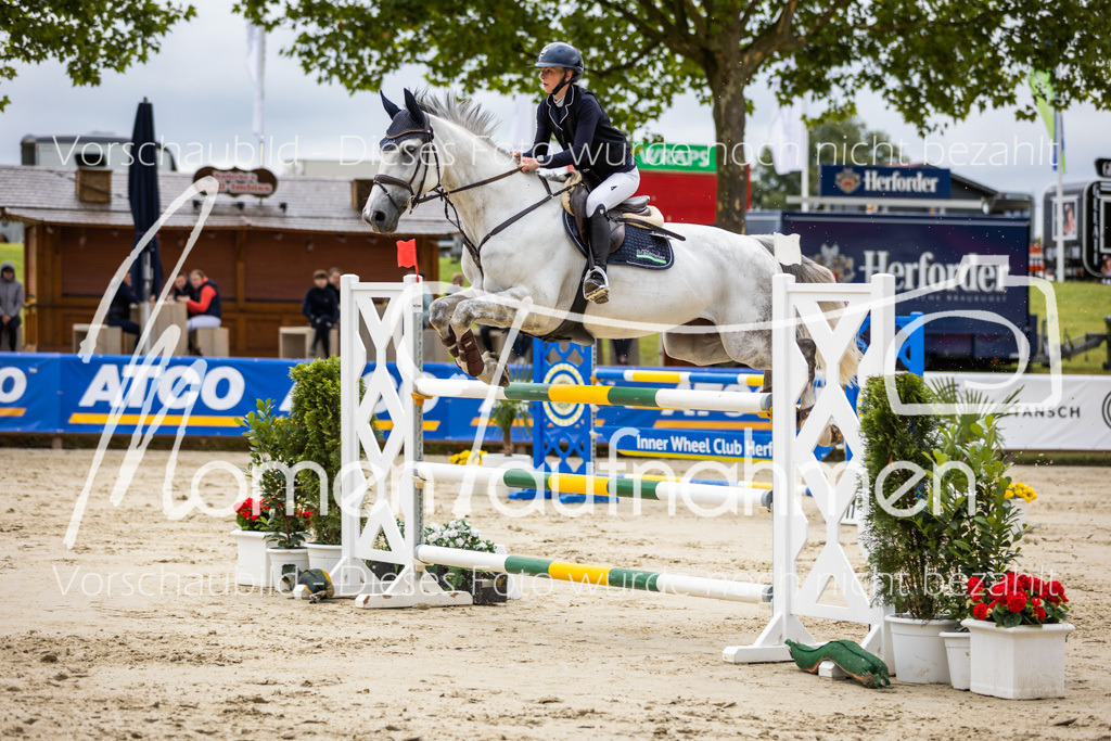 BHO-2PhSpr-M-5-2087 | MomenTaufnahmen Pferdesportfotos