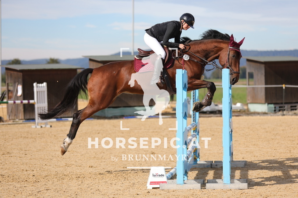 0P6A4636 | Willkommen bei Brunnmayr - Design & Fotografie – Ihrem Spezialisten für Reitturniere und Pferdeveranstaltungen in Oberösterreich, Salzburg und Bayern! Seit über 17 Jahren sind wir leidenschaftlich dabei.