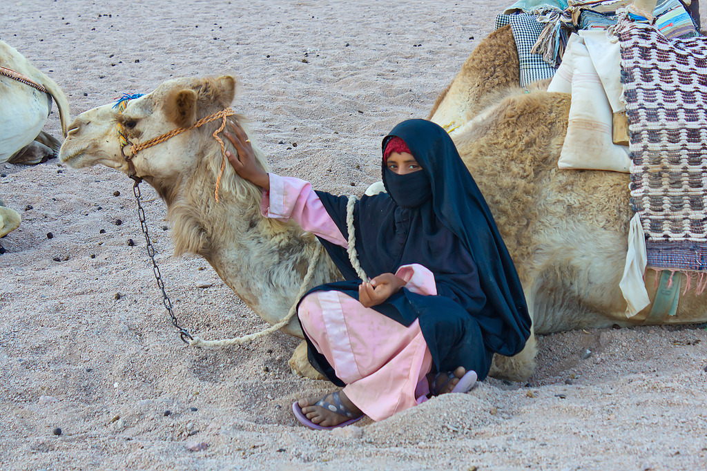 IMG_1861a | ansichtssache