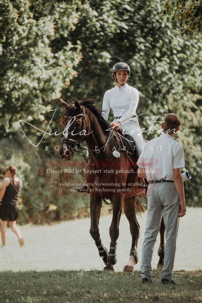 DSC_0565 | Pferde- und Turnierfotografie in Westsachsen. Pferdeportraits, Auftragszeichnungen und intuitive Kunst.