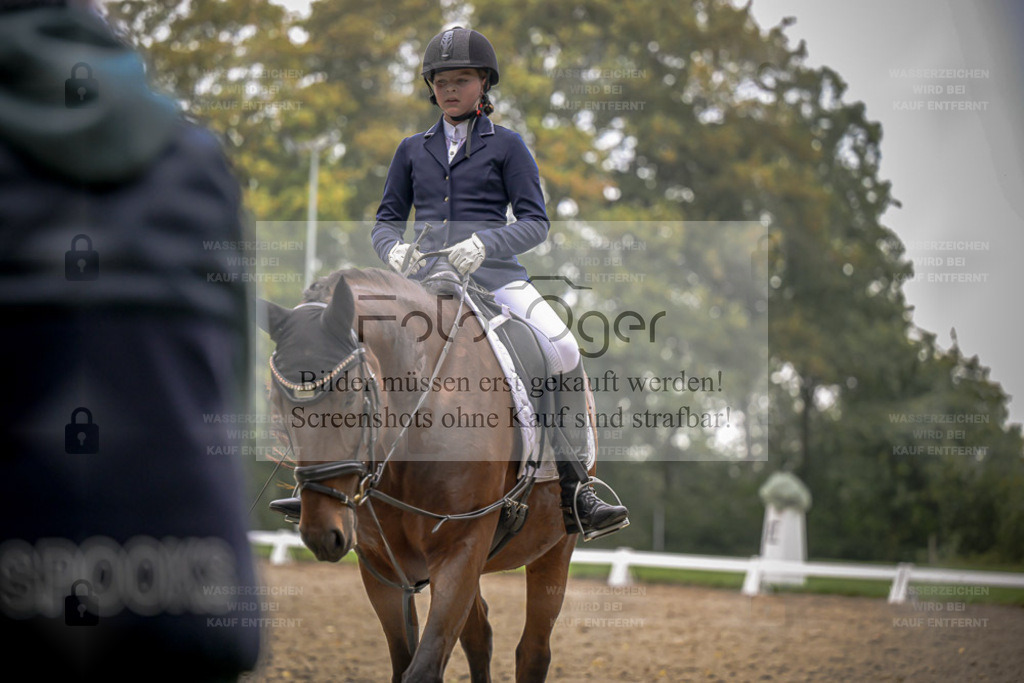 FOTO OGER | Entdecke hochwertige Reitturnierfotos von Foto Oger. Professionell, emotional und authentisch – jetzt Lieblingsmomente im Shop bestellen. - Realisiert mit Pictrs.com