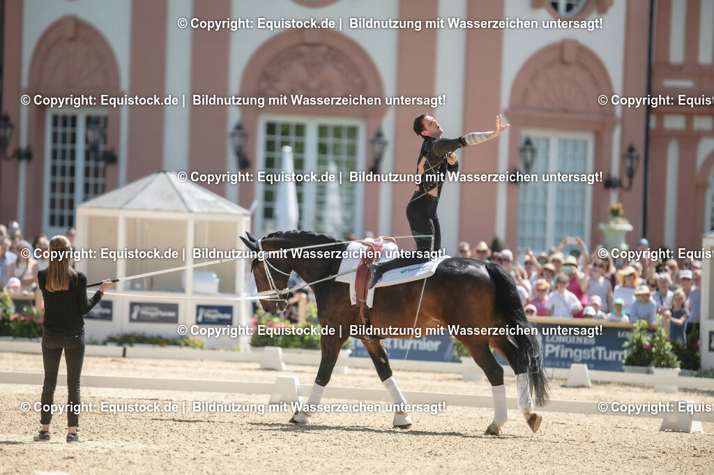 20230528_Voltigieren_NASPA_0126 | equistock