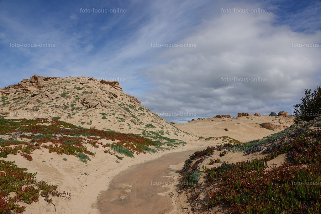 Frozen Sand | Frozen sand mountains,Petrified sand,Sandstone desert