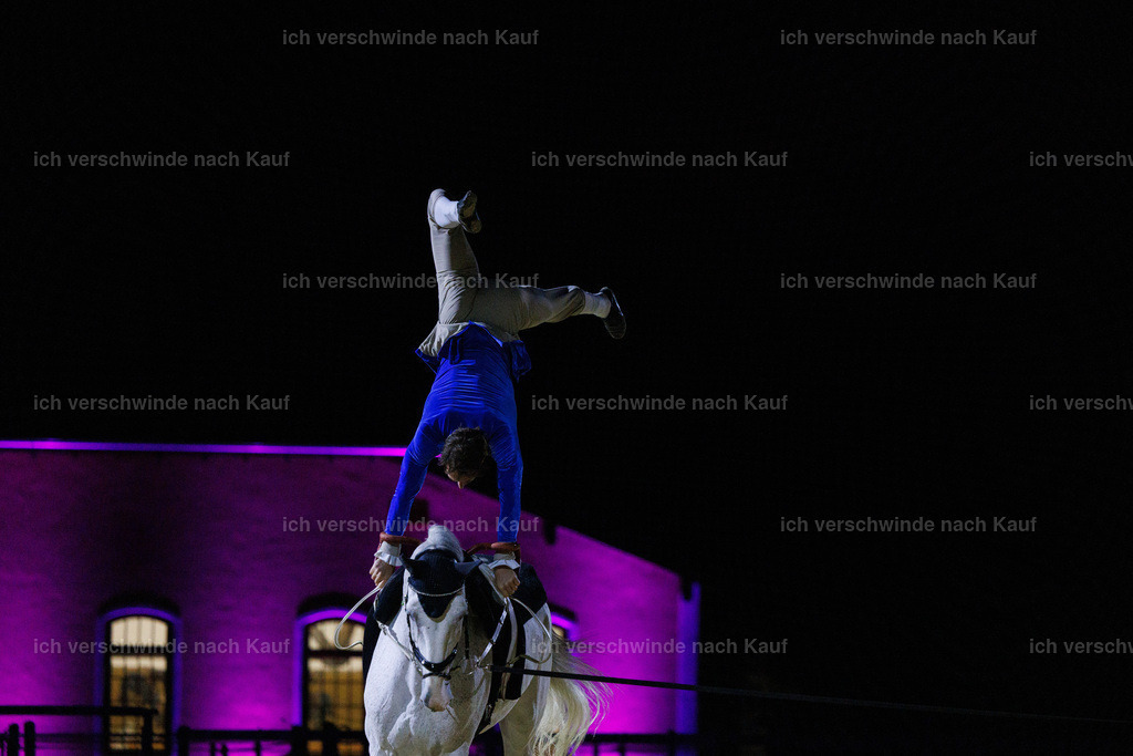 FHClassics-235 | working equitationturnier fotograf videograf stoibphotography marixx film working equitation deutschland reitsport turnierfotografie eventfotografie equestrian events