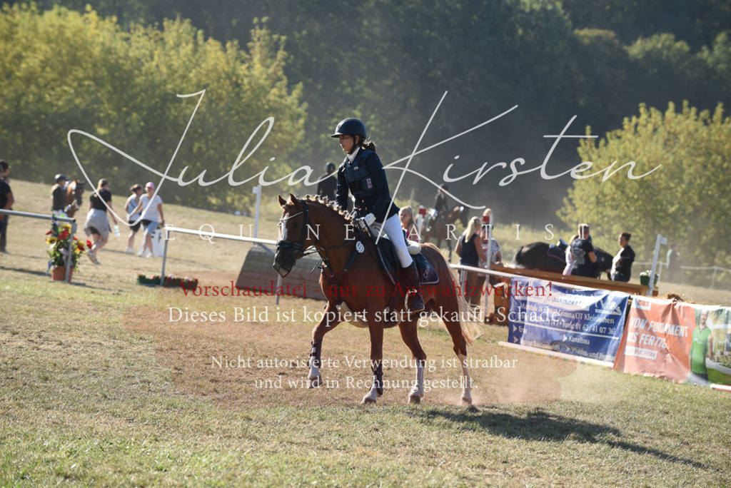DSC_5646 | Pferde- und Turnierfotografie in Westsachsen. Pferdeportraits, Auftragszeichnungen und intuitive Kunst.