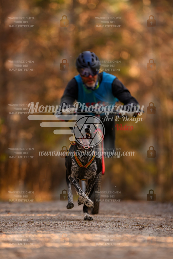 MompixPhotography_DM_AKDM_SO_2025_Scooter-96 | PayLife