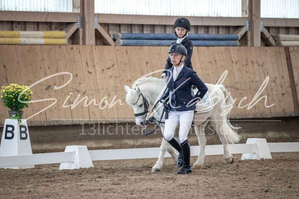 20251011-_3LI8620 | Tierfotografie Pferde, Hunde, Katzen, Haustiere.
Turnierfotografie Reitturniere, Reiten, Springreiten, Dressur in Hanau, dem Main-Kinzig-Kreis und dem Rhein-Main- Gebiet um Frankfurt