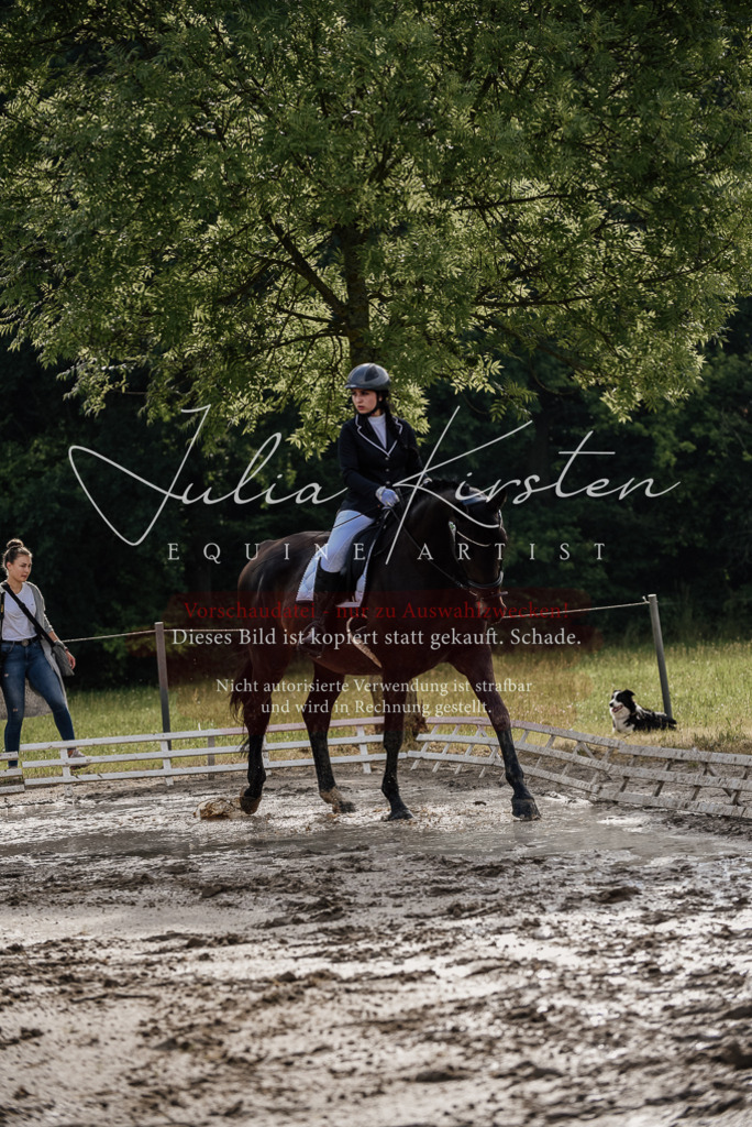 DSC_8552 | Pferde- und Turnierfotografie in Westsachsen. Pferdeportraits, Auftragszeichnungen und intuitive Kunst.