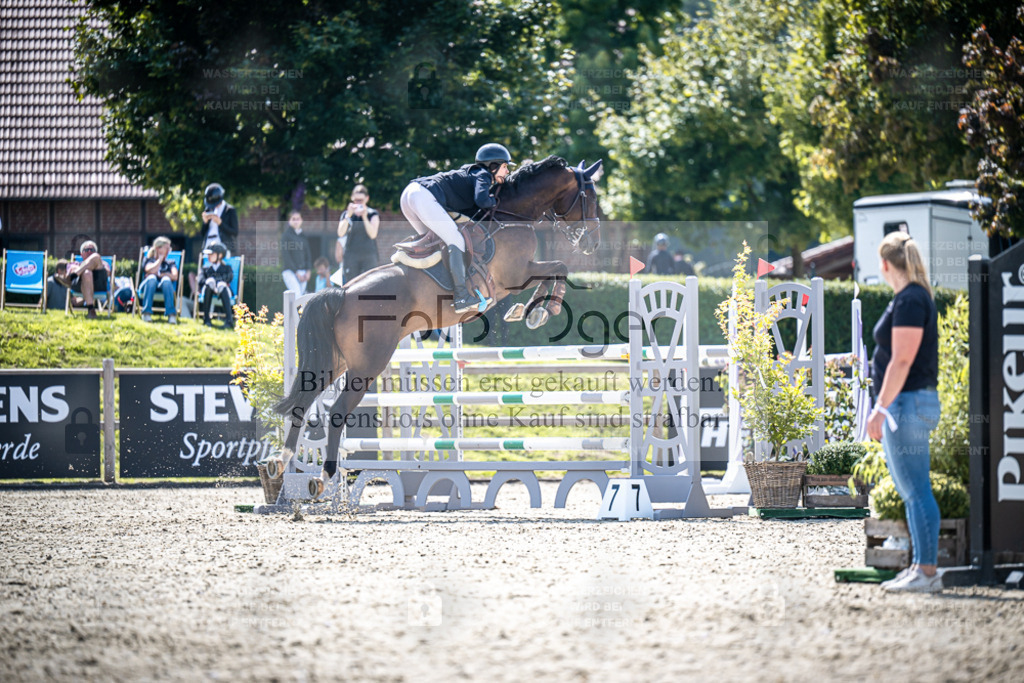 DOS_7502 | Entdecke hochwertige Reitturnierfotos von Foto Oger. Professionell, emotional und authentisch – jetzt Lieblingsmomente im Shop bestellen. - Realisiert mit Pictrs.com