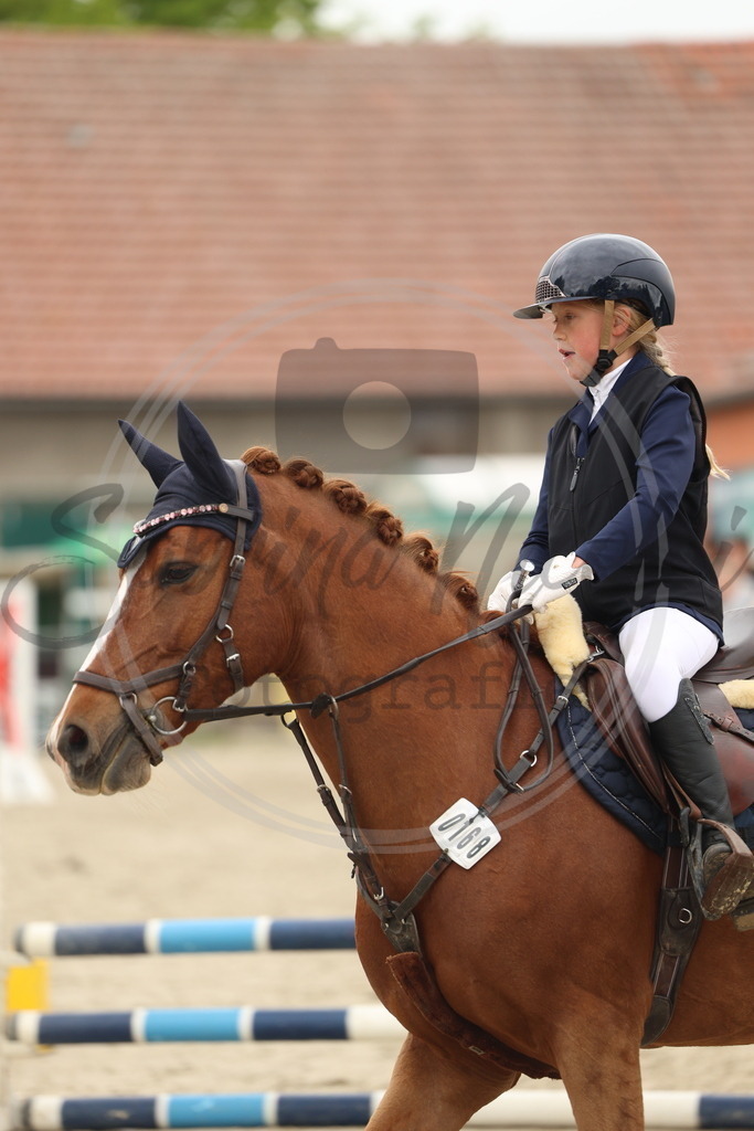 994A8595 | sabrinanicolaifotografie - Realisiert mit Pictrs.com