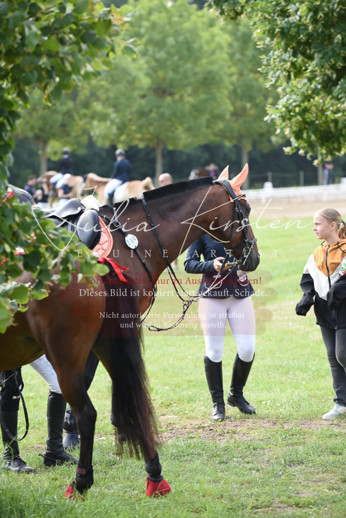 DSC_8622 | Pferde- und Turnierfotografie in Westsachsen. Pferdeportraits, Auftragszeichnungen und intuitive Kunst.
