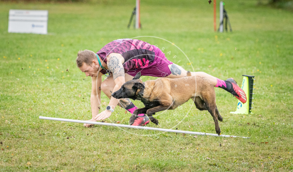 Pfotenfotografie_DV3A0821 | Hundefotografie, Tierfotograf, Pfotenfotografie, Fotoshooting Hund, Hunde Portrait, Hundesport, Hundeportraits, Heideshooting, Hunde, Sportfotograf, Hundefotograf, Turnierhundsport, THS,  - Realisiert mit Pictrs.com