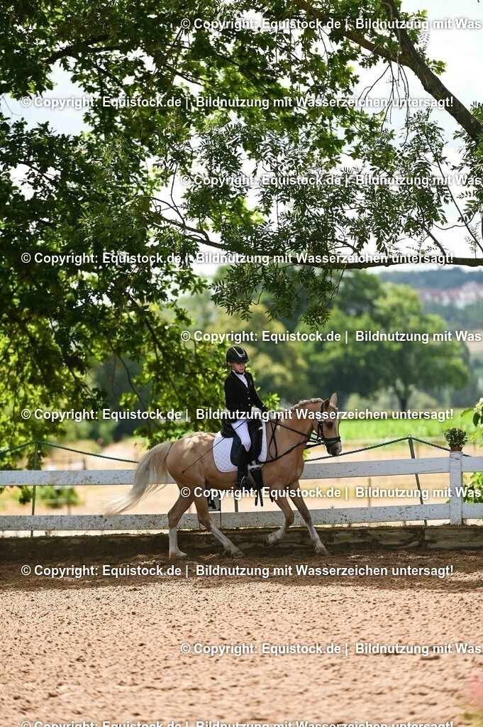 20230716_10-3_Reiter-WB Schritt - Trab - Galopp_0123 | equistock