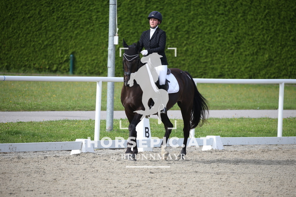 DL2Q2244 | Willkommen bei Brunnmayr - Design & Fotografie – Ihrem Spezialisten für Reitturniere und Pferdeveranstaltungen in Oberösterreich, Salzburg und Bayern! Seit über 17 Jahren sind wir leidenschaftlich dabei.