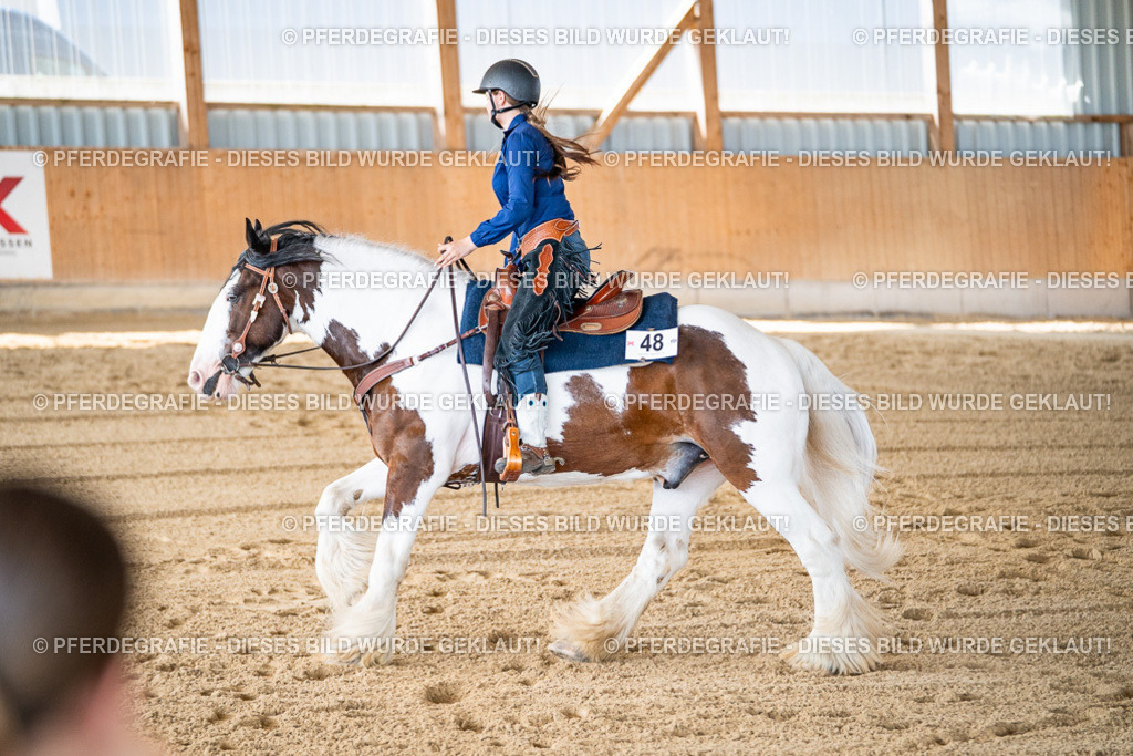 DSC03013 | Pferdegrafie