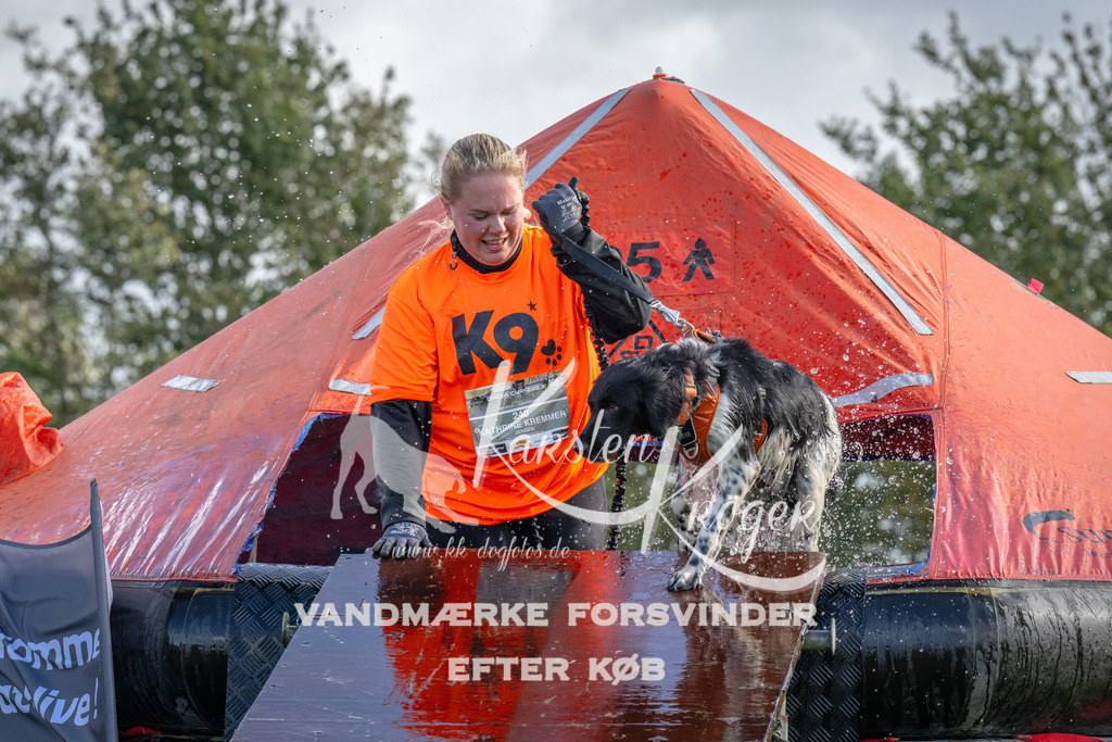 1229-93917 | kk-dogfotos