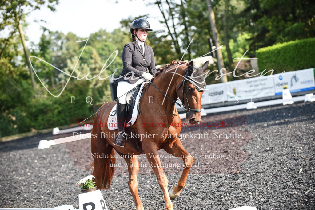 DSC_3269 | Pferde- und Turnierfotografie in Westsachsen. Pferdeportraits, Auftragszeichnungen und intuitive Kunst.