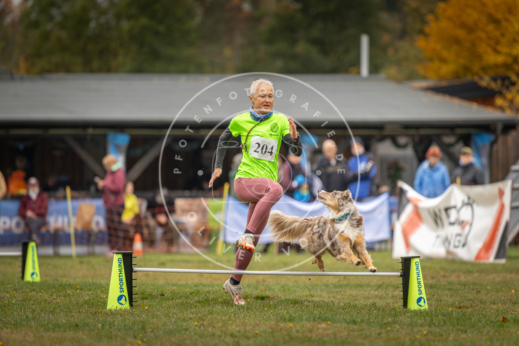 Pfotenfotografie_DV3A1688 | Hundefotografie, Tierfotograf, Pfotenfotografie, Fotoshooting Hund, Hunde Portrait, Hundesport, Hundeportraits, Heideshooting, Hunde, Sportfotograf, Hundefotograf, Turnierhundsport, THS,  - Realisiert mit Pictrs.com