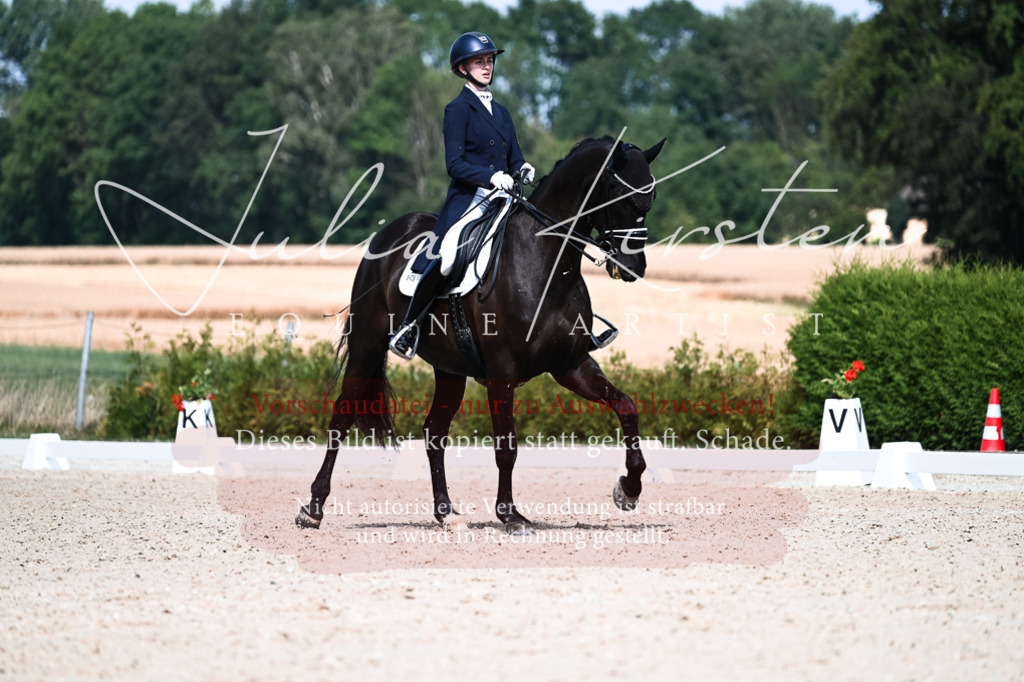 DSC_3151 | Pferde- und Turnierfotografie in Westsachsen. Pferdeportraits, Auftragszeichnungen und intuitive Kunst.