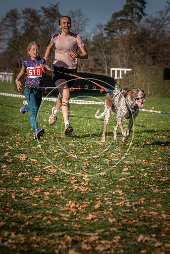 CaniXpix_0L8A7038 | Hundefotografie, Tierfotograf, Pfotenfotografie, Fotoshooting Hund, Hunde Portrait, Hundesport, Hundeportraits, Heideshooting, Hunde, Sportfotograf, Hundefotograf, Turnierhundsport, THS,  - Realisiert mit Pictrs.com