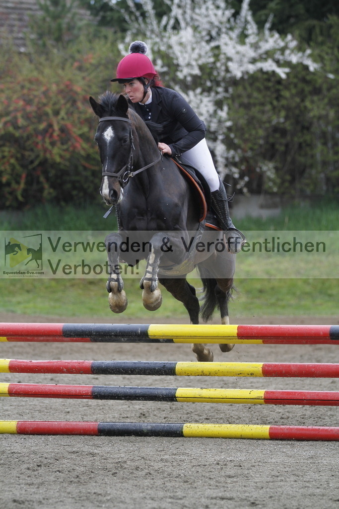 _MG_4507 | equestrian-live-com