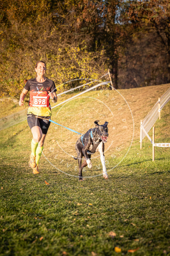 CaniXpix_0L8A1284 | Hundefotografie, Tierfotograf, Pfotenfotografie, Fotoshooting Hund, Hunde Portrait, Hundesport, Hundeportraits, Heideshooting, Hunde, Sportfotograf, Hundefotograf, Turnierhundsport, THS,  - Realisiert mit Pictrs.com