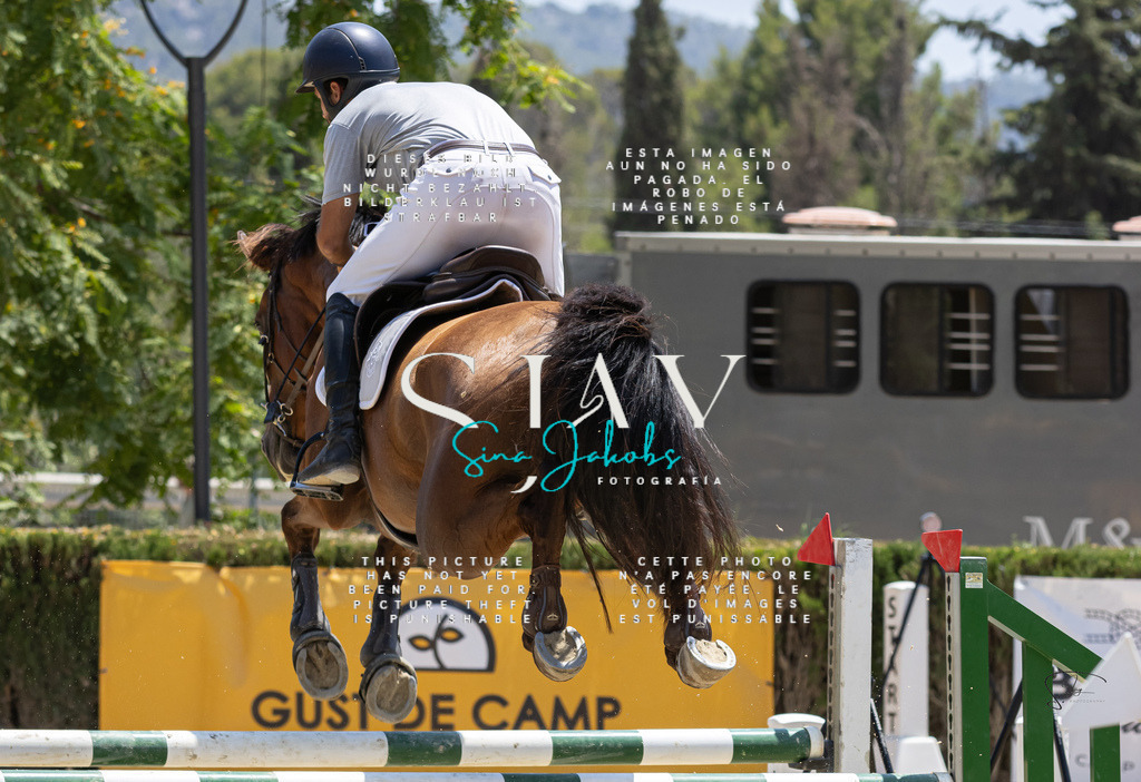 IMG_7421 | s-jay-photography - Realisiert mit Pictrs.com