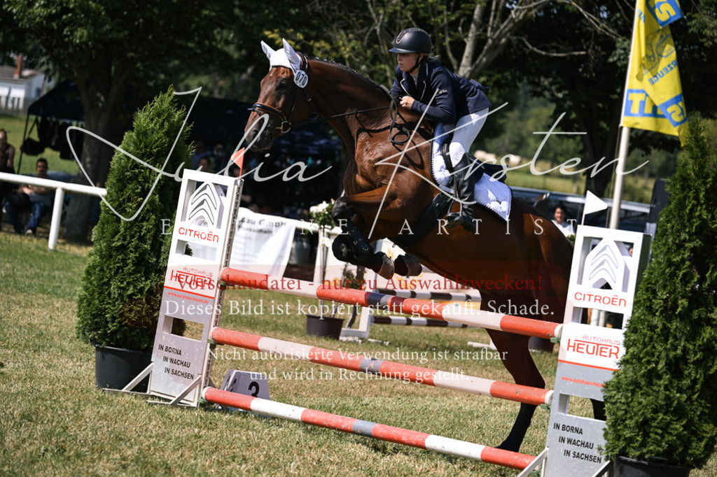 DSC_0468 | Pferde- und Turnierfotografie in Westsachsen. Pferdeportraits, Auftragszeichnungen und intuitive Kunst.