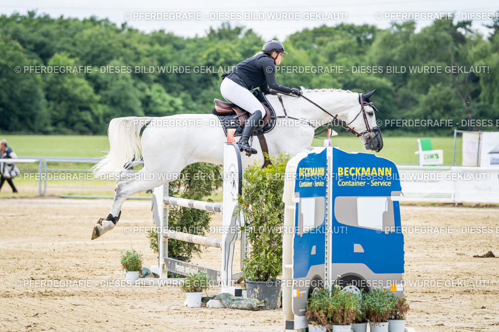 DSC05030 | Pferdegrafie