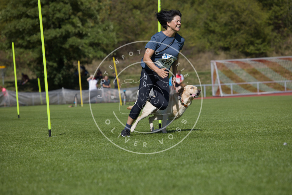 0L8A7115 | Hundefotografie, Tierfotograf, Pfotenfotografie, Fotoshooting Hund, Hunde Portrait, Hundesport, Hundeportraits, Heideshooting, Hunde, Sportfotograf, Hundefotograf, Turnierhundsport, THS,  - Realisiert mit Pictrs.com