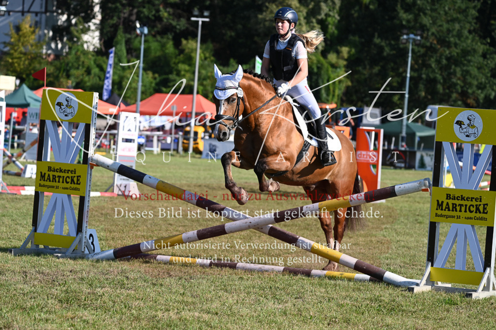 DSC_4974 | Pferde- und Turnierfotografie in Westsachsen. Pferdeportraits, Auftragszeichnungen und intuitive Kunst.