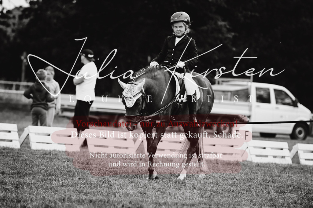 DSC_5246 | Pferde- und Turnierfotografie in Westsachsen. Pferdeportraits, Auftragszeichnungen und intuitive Kunst.