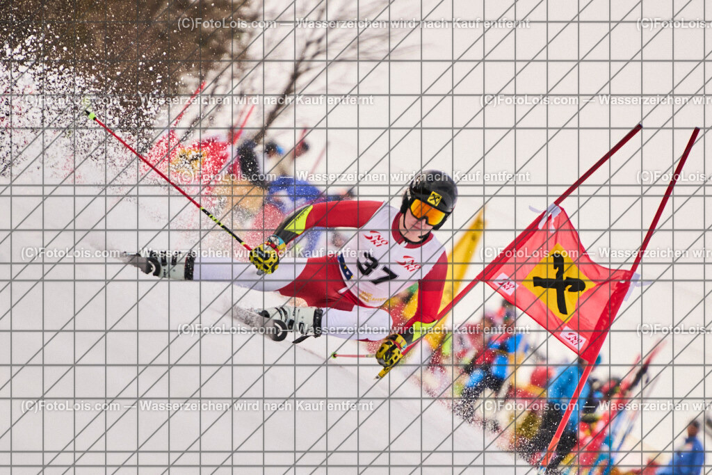 ALP8102_Herrn-FIS-GS-I_Lackenhof-WY_Gstrein Niklas | Internationaler FIS GiantSlalom der Herrn auf der Distelpiste in Lackenhof am Mo 10. März 2025.  Österreich, LSV-NÖ, Sportunion Waidhofen/Ybbs (2035).