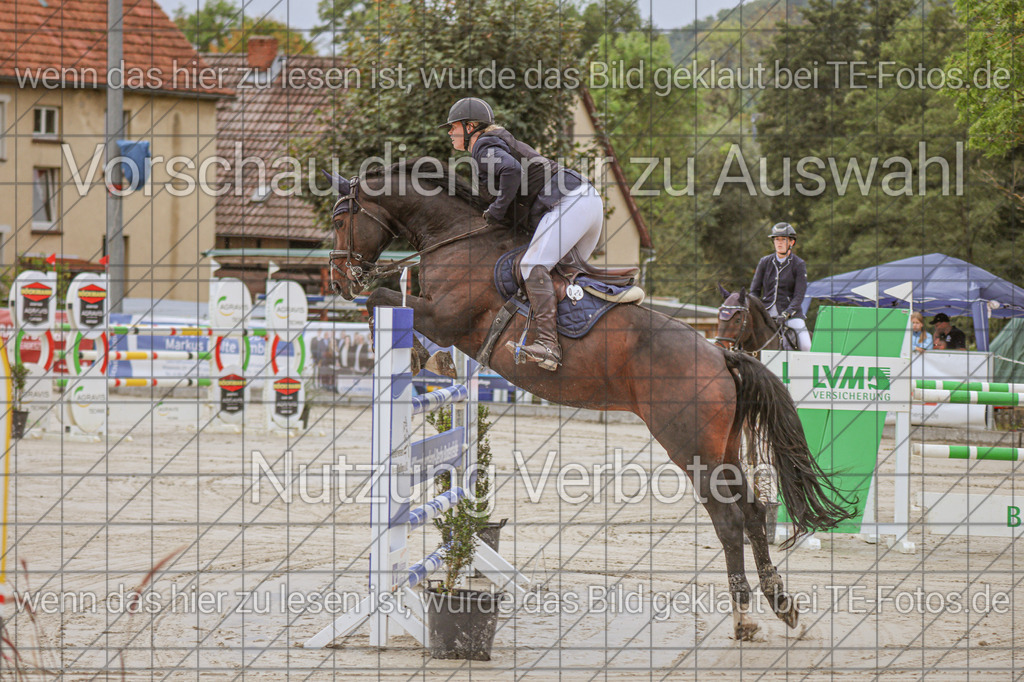 2025-09-22_11-04-06_MG_8711 | TE-Fotos