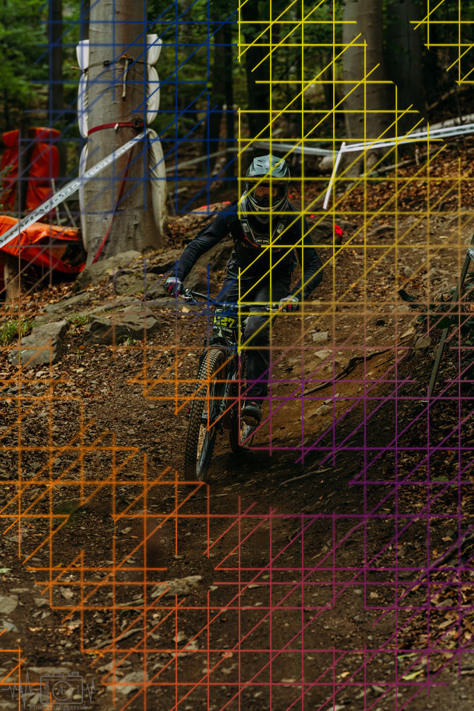 PAE-1533 | Einzigartige Fotokunst für dein Zuhause: Entdecke hochwertige Wandbilder, edle Prints und emotionale Motive von Wildlife, Natur und Landschaften - Realisiert mit Pictrs.com